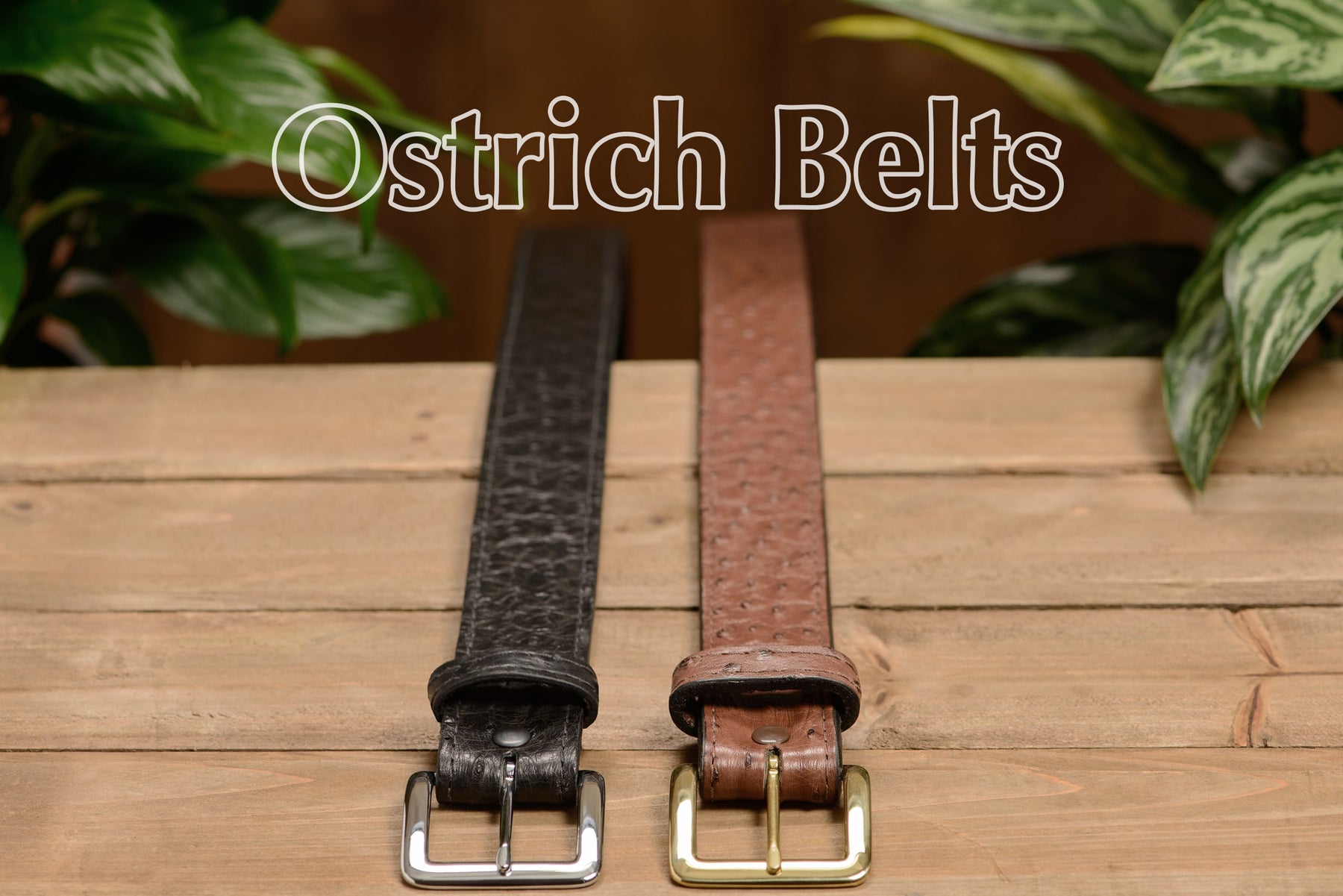 Genuine South African Ostrich Skin Belt in Vintage Dark Cognac Reg. size:46